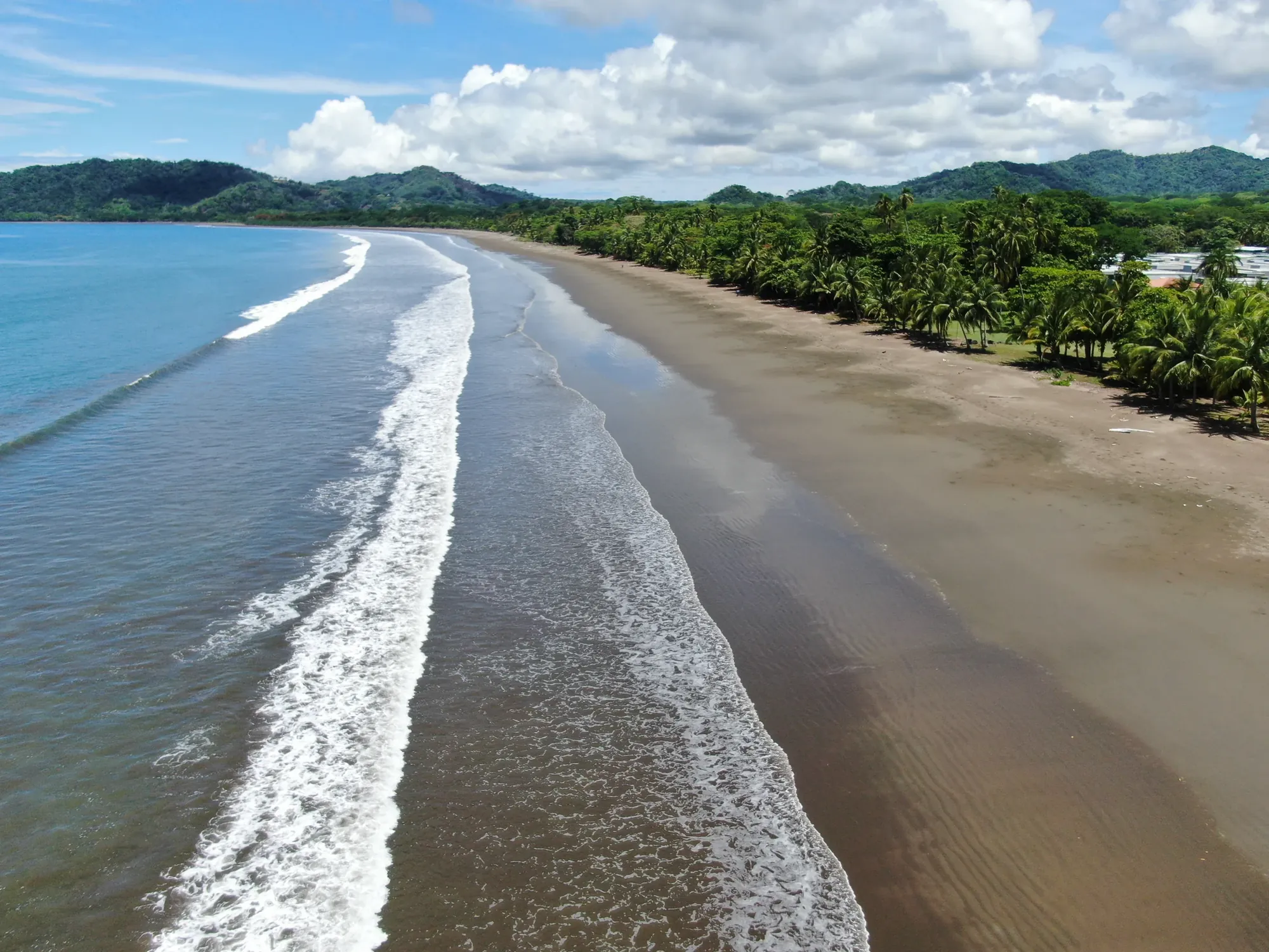 Wide sandy shoreline and palm-fringed surf break at Playa Guiones in Nosara