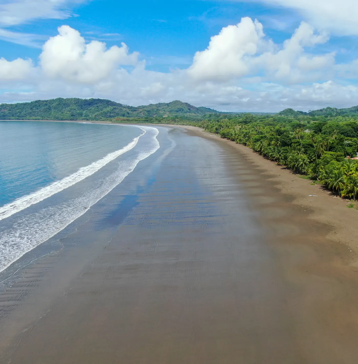 Turquoise Caribbean shoreline and palm canopy along Cahuita and Puerto Viejo