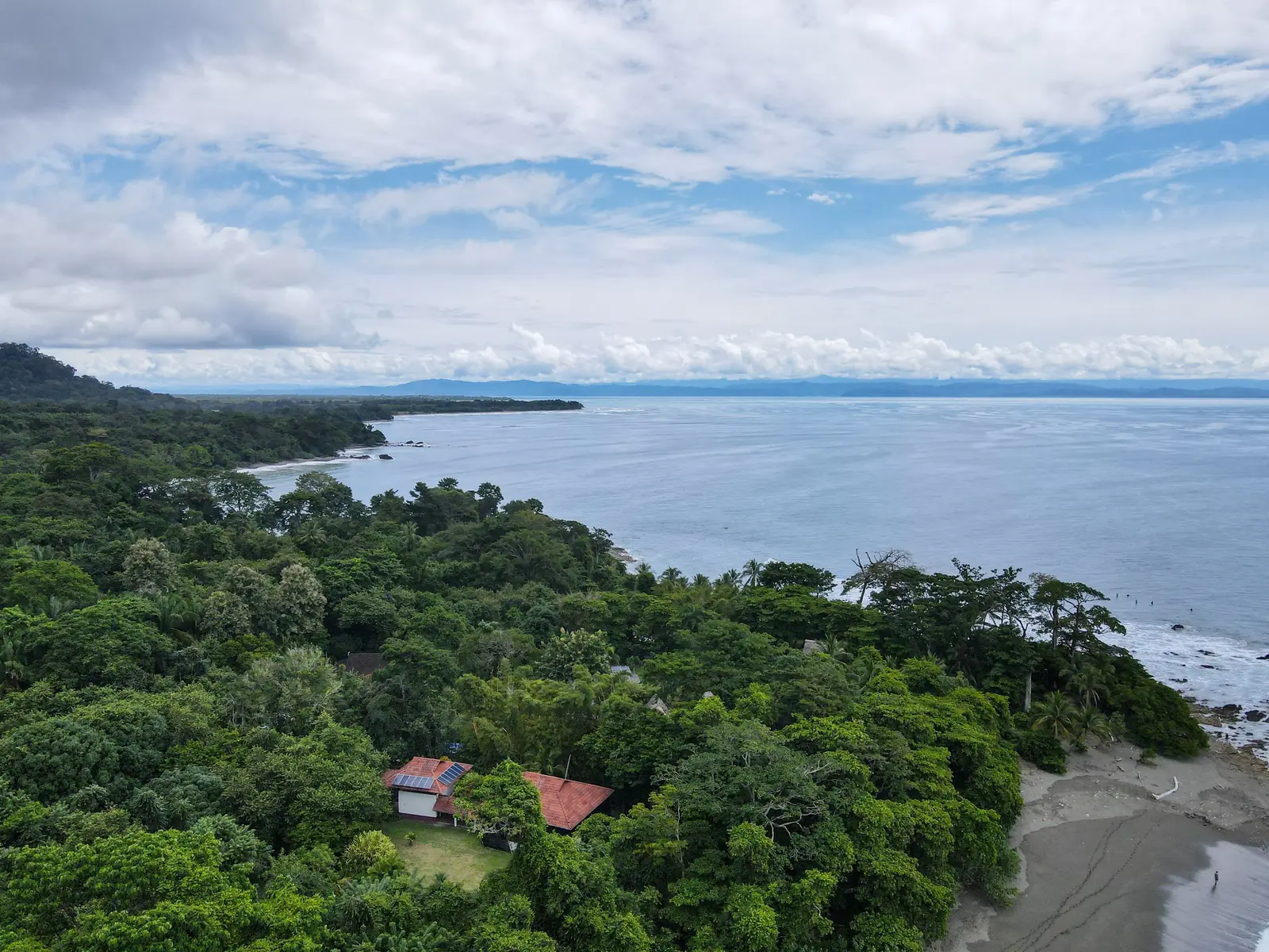 Aerial view of rainforest waterways meeting the Caribbean Sea in Tortuguero
